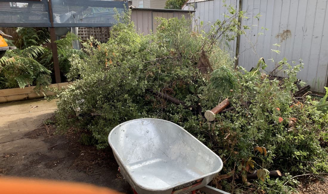 green waste rubbish removal melbourne before