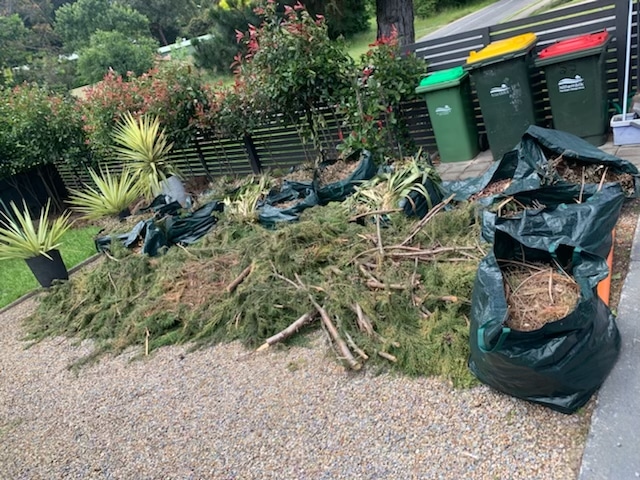 Green waste removal Melton