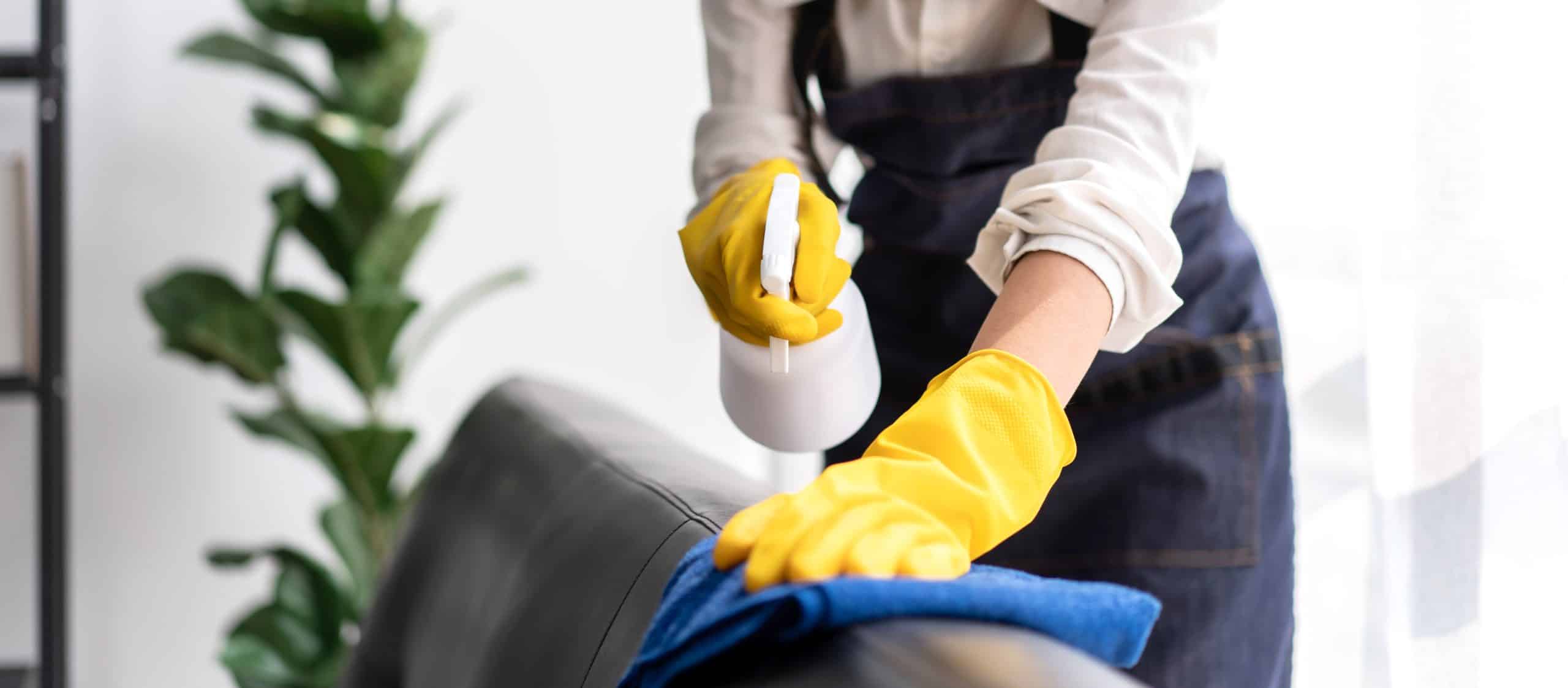 Spring Cleaning cleaner in apron wearing gloves to spraying